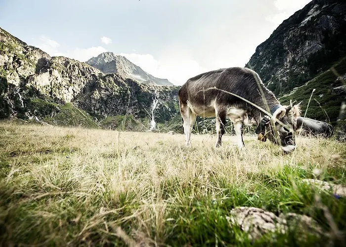 Hotell Adler Hotel-pension 3*