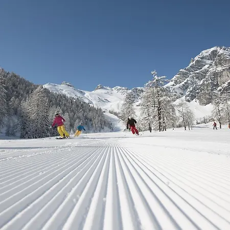 Adler Hotel-pension 3* Fulpmes