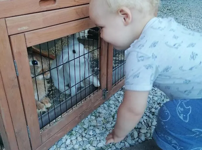 Adler Hotel-pension 3* 플메스