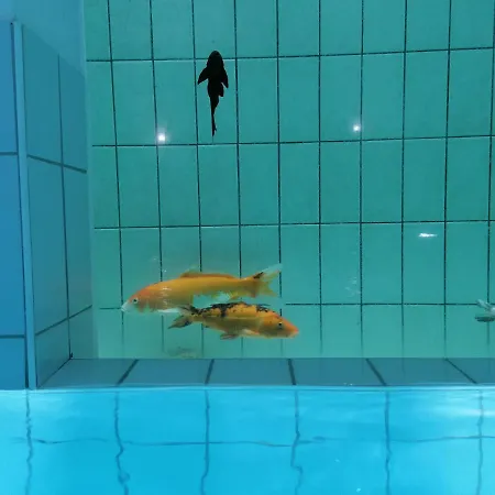 Adler Hotel-pension Hotel Fulpmes