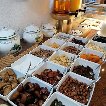 فندق Adler Hotel-pension فلبمس