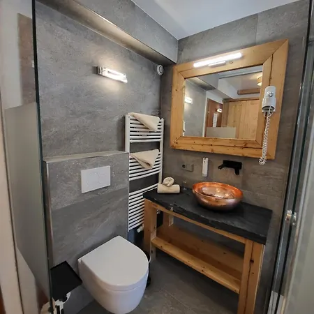 فندق Adler Hotel-pension 3*