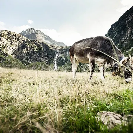 Hotel Adler Hotel-pension 3*