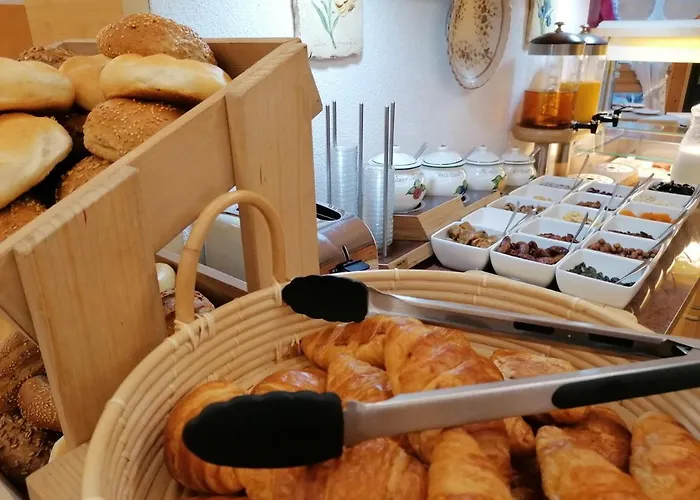 Otel Adler Hotel-pension